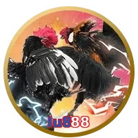lu888